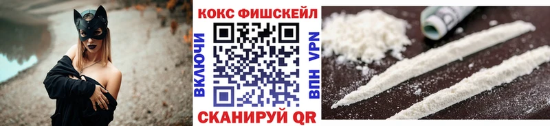 Cocaine Fish Scale  MEGA как войти  Богородицк 