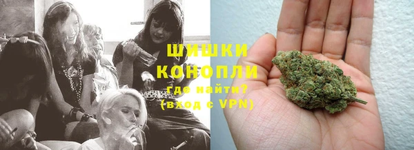 шишки Беломорск