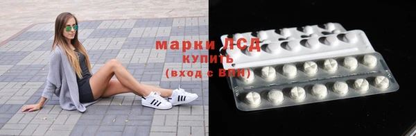 шишки Беломорск