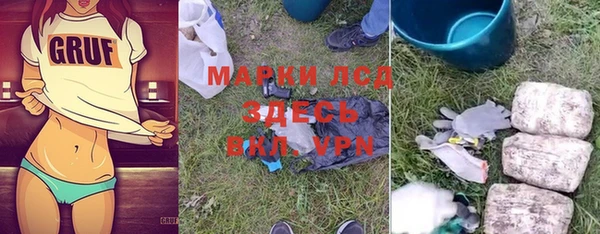 шишки Беломорск