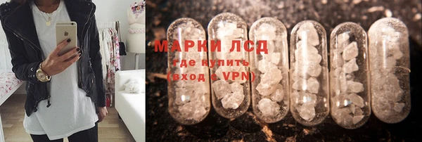 шишки Беломорск