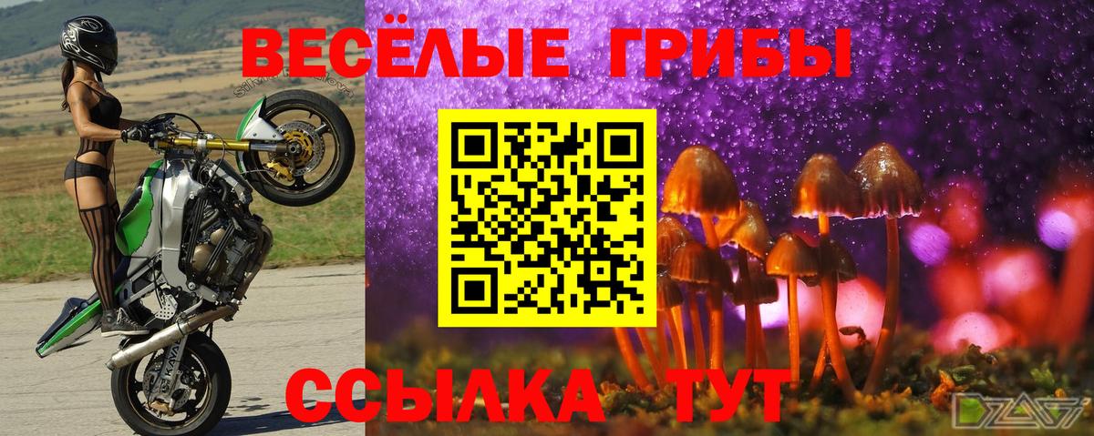 MDMA Богородицк