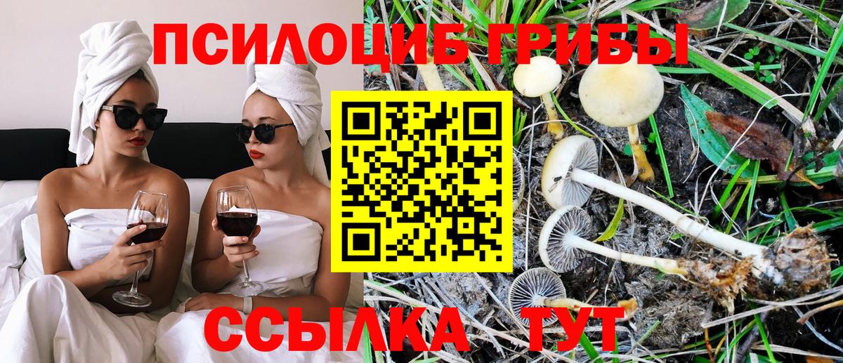 Псилоцибиновые грибы Psilocybe  Вход с VPN  Богородицк 
